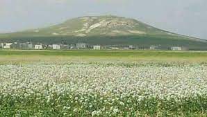 منظر طبيعي للقرية